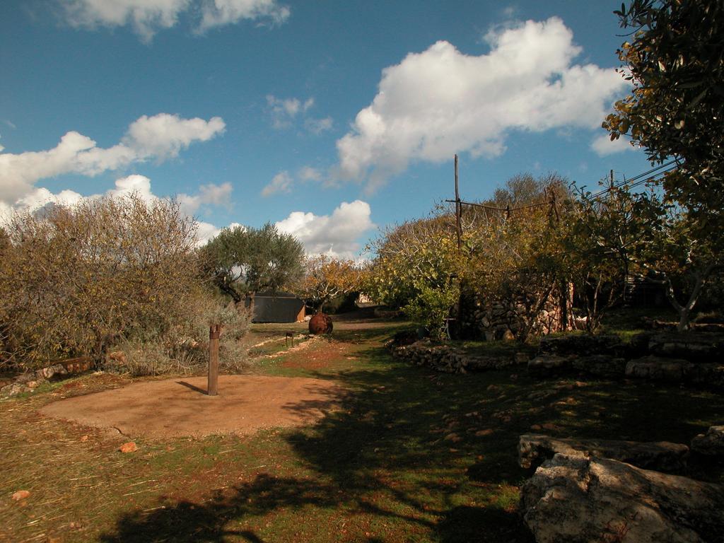 Back To Nature Camping & Huts Hotel Mikhmannim Room photo